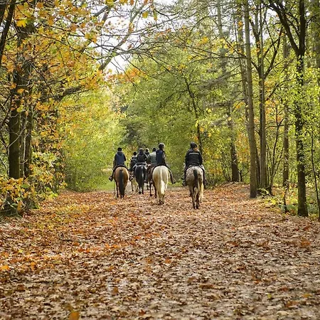 Sophienschlosschen Near Berlin